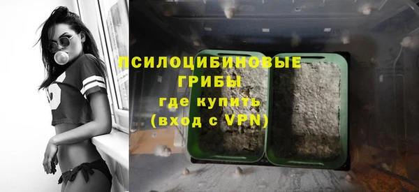 молекула духа Сатка