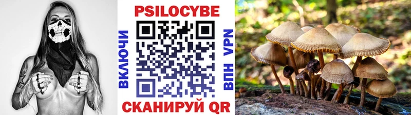 купить наркотик  Белебей  Псилоцибиновые грибы ЛСД 
