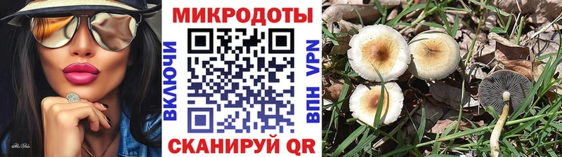 Галлюциногенные грибы мухоморы Белебей